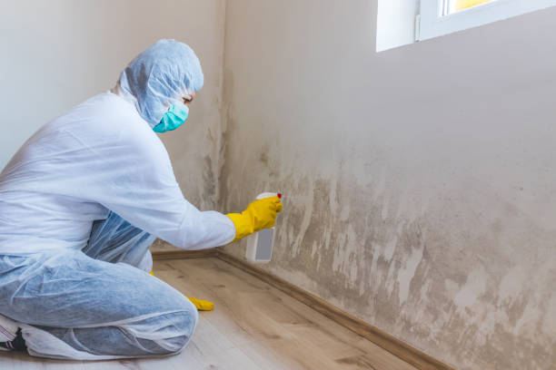 Bathroom Mold Removal assessment in Frostburg bathroom